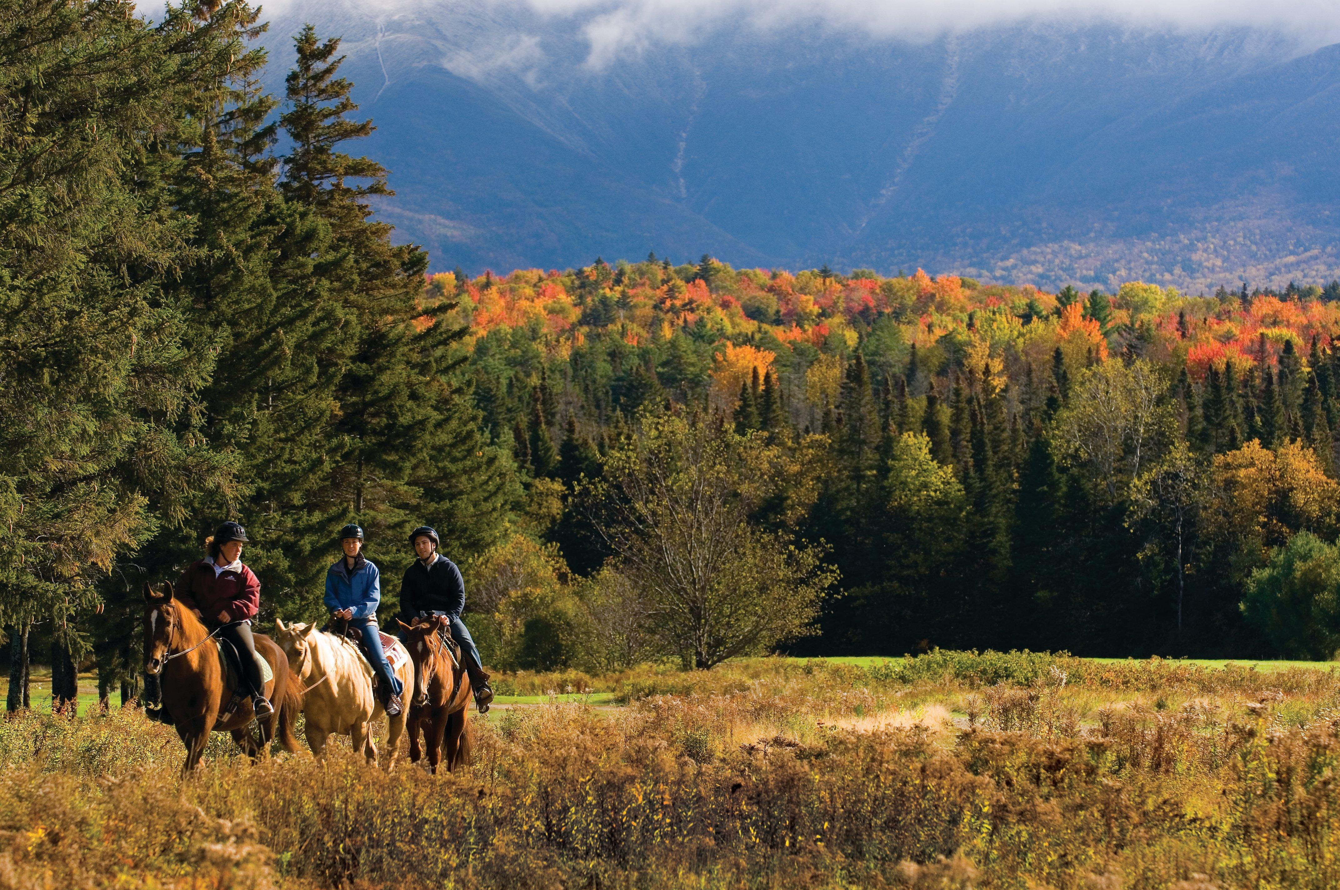 Omni Mount Washington Resort & Spa Bretton Woods Exterior photo